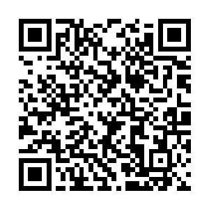 她之所以没有选择自己经纪公司国际创新管理公司二维码生成