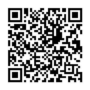 她也不会忘了把沈冰和刚决定了加入风灵门的莫珊珊给带上二维码生成