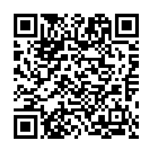 她也不知道夫人为何会突然下令让这两人到苗毅那去上任二维码生成