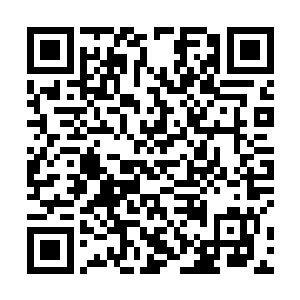 她也早已不是先前误打误撞闯进千叶之森的那个少女了二维码生成