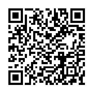 她也明白自己现在也没有什么价值让流墨墨认可二维码生成