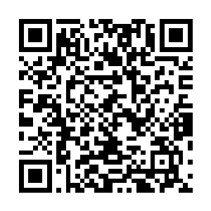 她也曾经以为这种护山大阵对她来说永远是可望不可即的二维码生成
