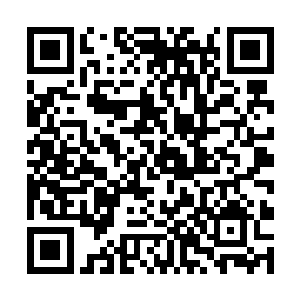 她也知道了这个人就是董事长给大小姐找的贴身保镖二维码生成