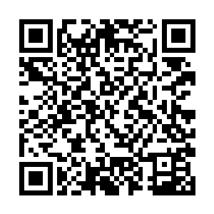 她也终于知道世界之主想要的是什么了――那个符文二维码生成