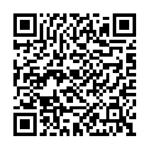 她也许再也找不到第二个能跟自己配型成功的人二维码生成