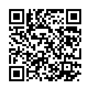 她仅仅只为李天宇提供了十一份材料二维码生成