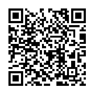 她今天可是好不容易发现一个多金又帅的富家公子二维码生成