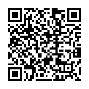 她从漏在外面的其他部位看到那木棍表面长着长短不一的刺二维码生成