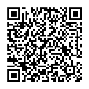 她从鄣国公吕先处劫掠来的那一朵珠花居然会辗转落到林封谨的手上二维码生成