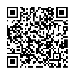 她代表唐庄孤儿和我们本地的小朋友同台演出唱歌二维码生成