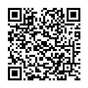 她们一族需要借活的菱虫才能保证新形体不会被识破二维码生成