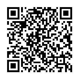 她们也不知道谢无畏出门一趟怎么带了两个人类回来二维码生成