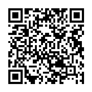 她们再次对那些伤害果真自己的人施行疯狂报复……二维码生成