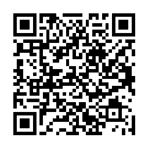 她们将女巫之王的英灵锁在了一个凡人大家族的子嗣血脉内二维码生成