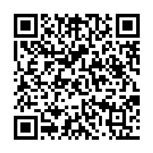 她们开始对瑞克集团的华国负责人迪米塔和兹拉坦展开公关二维码生成