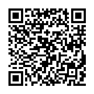 她们彼此之间也免不了开始拉帮结派了起来……二维码生成