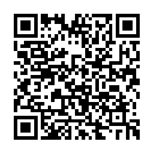 她们是真的没有把小郡主跟秦姑娘的感情算到啊二维码生成