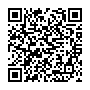 她们有很大的希望在容颜开始衰老之前踏入凝脉期二维码生成