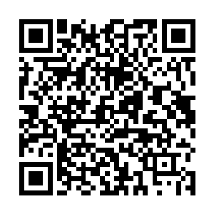 她们根本就不知道三个古老世家和一股神秘势力的事情二维码生成