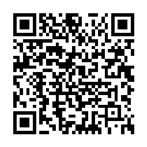 她们的幼崽期几乎都是在沉睡和被强行强化体质二维码生成