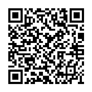 她们的父母若是知道自己的孩子受了这么多委屈二维码生成