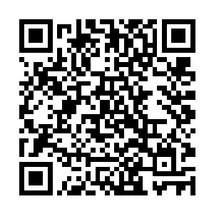 她们让李宗伊把这些服务员都给赶出去了才敢坐下来二维码生成