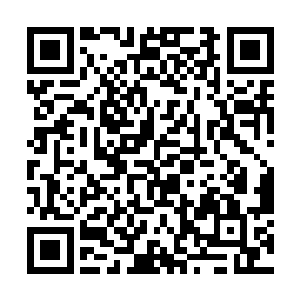 她们都舍不得碰一下的小东西竟然被人那么用力的踹二维码生成