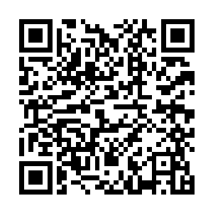 她会跑去邬家询问邬金玉好像也不是什么让人意外的事二维码生成