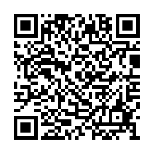 她似乎认为季宸渊在这个时候不应该离开将军府二维码生成