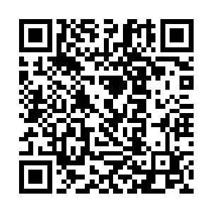 她便顺道捎过来母亲以及家中几位姨娘以及弟弟妹妹二维码生成