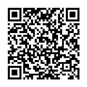 她倒不是害怕和那个圣级大圆满初期的域外天魔战斗二维码生成