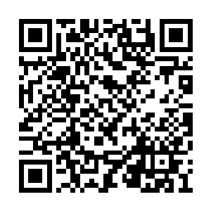 她倒是可以用炼器手法结合自己的医术去试一试二维码生成