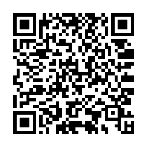 她倒是没有想到家里面的这些孩子竟然会跑到自己这边来二维码生成