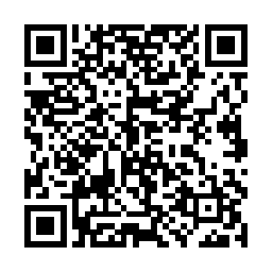 她倒是记得小时候经常有一个长相清俊的男子带她玩二维码生成