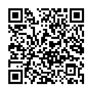 她做梦也想不到会在黑洞后的世界见到一颗生命之树二维码生成