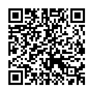 她再也回不去主神空间了……她用时间最恶毒的语言咒骂梓箐二维码生成