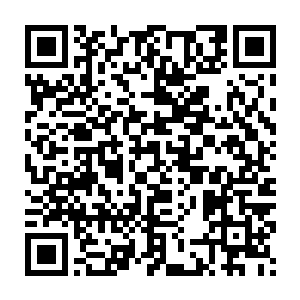 她再也没有想到这个强壮的男人的配偶就是眼前这个能和她说话的少年二维码生成