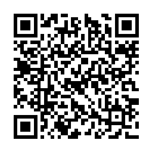 她几乎也忘了自己是在什么时候跟在对方身后的了二维码生成