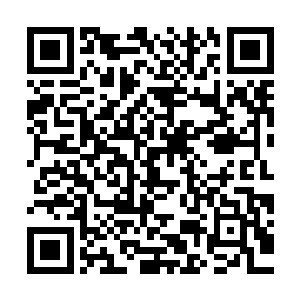 她几乎很少给自己和丈夫选择百达翡丽之类那种耳熟能详的牌子二维码生成