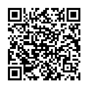 她分离出一大团能量丢给血幽紫后就让他自己解决去了二维码生成