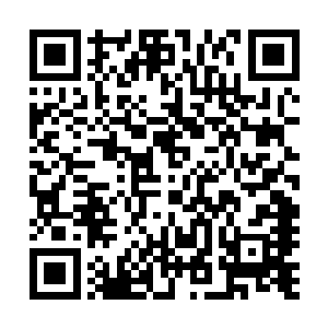 她刚才确实是在像鸵鸟一般地装作不知道燕山魂握着她的手二维码生成