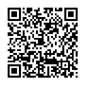她刚没有回答是因为看到龙野就想到了白天的事情二维码生成