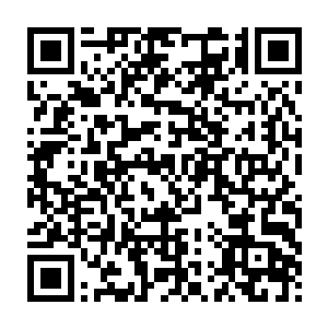 她前几天还信誓旦旦地说九转炼丹炉要恢复到曾经的巅峰品秩十分困难二维码生成