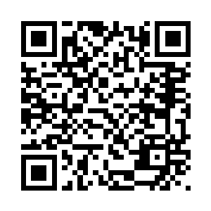 她却不敢像在谢吟风面前一样辩驳二维码生成