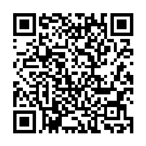 她却也承担起了阿喀琉斯关键时刻用来补充营养的责任二维码生成