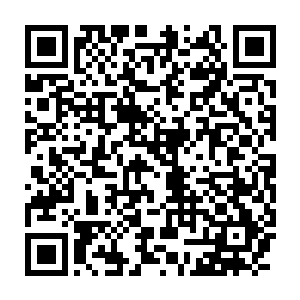 她却收到一个消息――火莲门与三花教从来都没有派人阻截过青竹门二维码生成