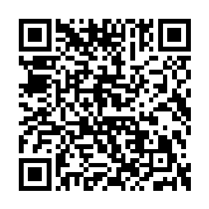 她原本就对那个什么父母老板的儿子没什么好感二维码生成