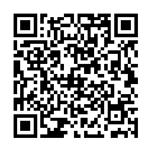 她原本平时就有些微泛红的瞳孔此刻更加血艳起来二维码生成