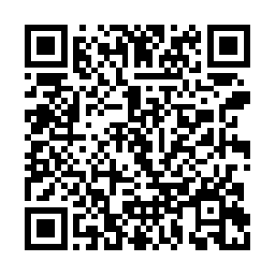 她去了千里外的神原城给您选梅花糕的原料去了二维码生成