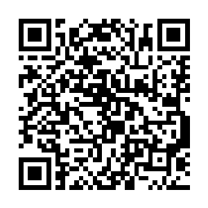 她又尝试着把一些在其他任务世界收集的各种小玩意二维码生成